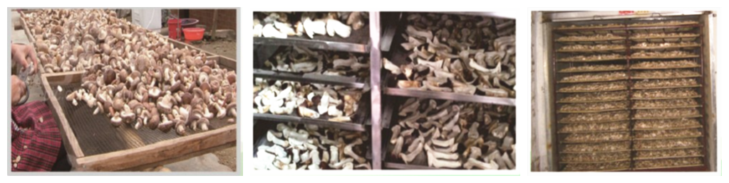 5c11d20a3d1af.png 5c11d20a3d1af.png